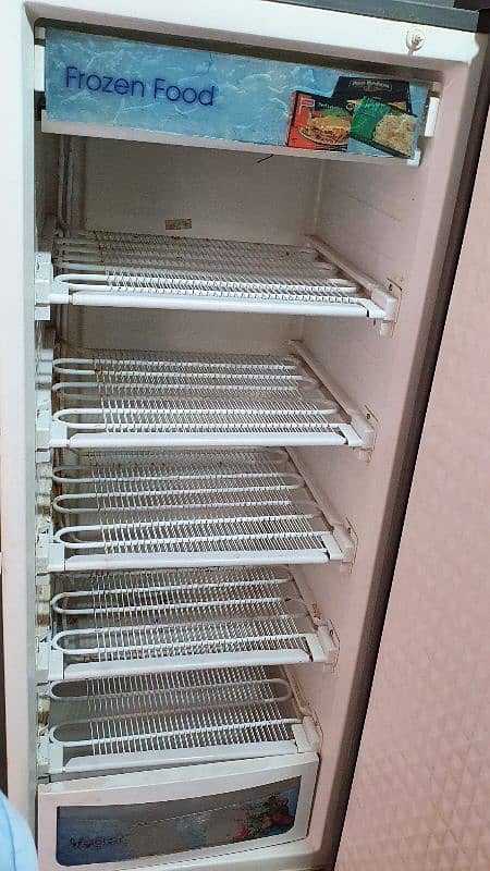 hier Company fridge 5