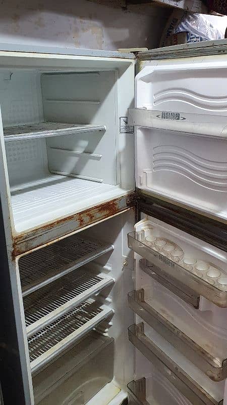 hier Company fridge 6