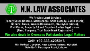 Lawyer, Attorny, Legal Consultant, Contracts Draft. CONSULTANT/ NTN,