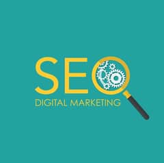 Required a SEO Expert and Digital Marketing