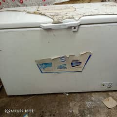 Pel Deep Freezer for urgent sale