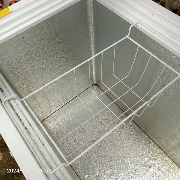 Pel Deep Freezer for urgent sale 3