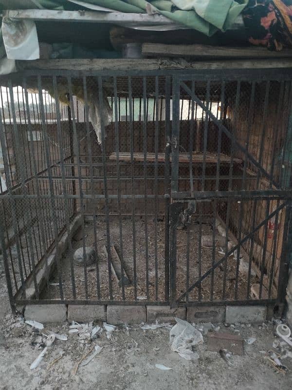 Iron cage | Pinjra | birds cage | Animals Cage | Best Quality Cage 0