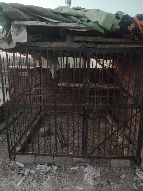 Iron cage | Pinjra | birds cage | Animals Cage | Best Quality Cage 1