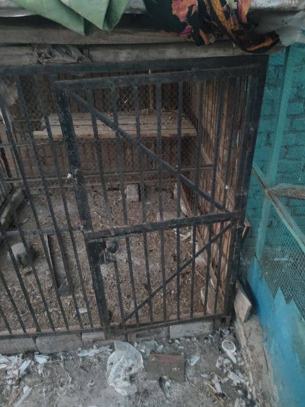 Iron cage | Pinjra | birds cage | Animals Cage | Best Quality Cage 3