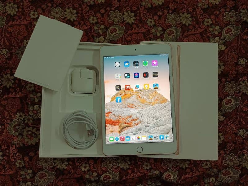 iPad Mini 5 0