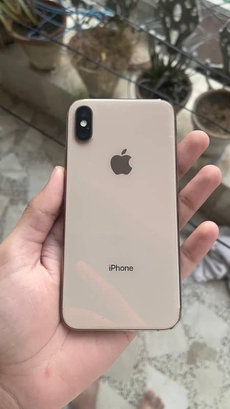 iphone xs 256 GB 1