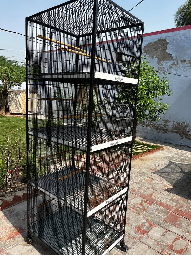 Parrots Cage 1