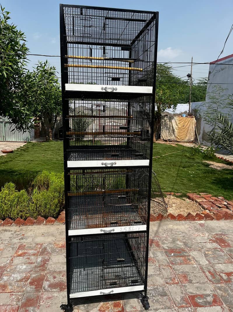 Parrots Cage 2