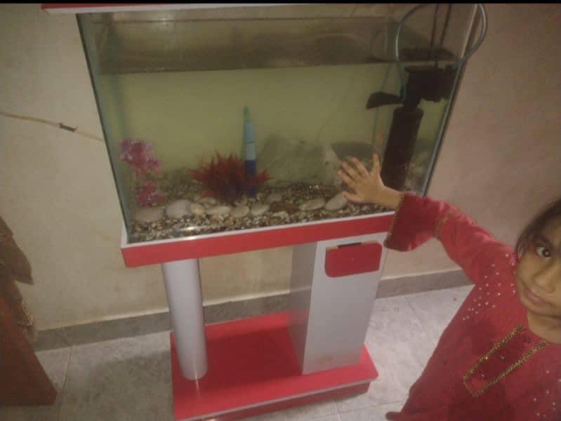 fish quarium 0