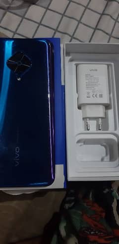 vivo Y51 BLUE COLOUR