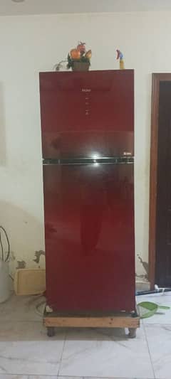 Glass door refregirator