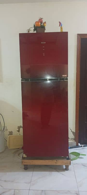 Glass door refregirator 1