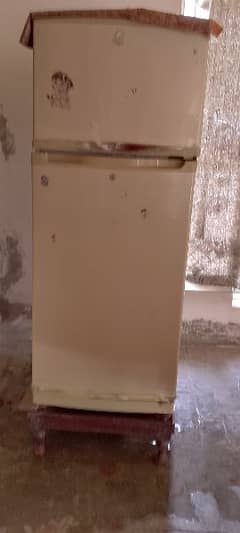 Fridge