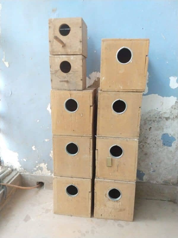 Love Bird breeding boxes 0