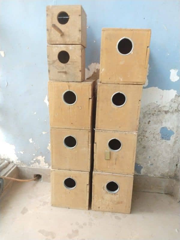 Love Bird breeding boxes 1