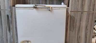 Used Deep Freezer