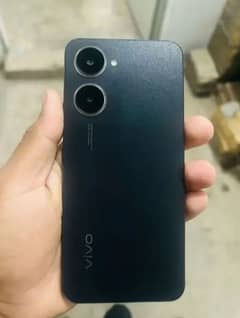 vivo