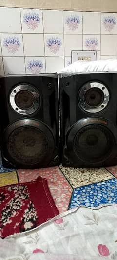 2 Way Speaker Boofers