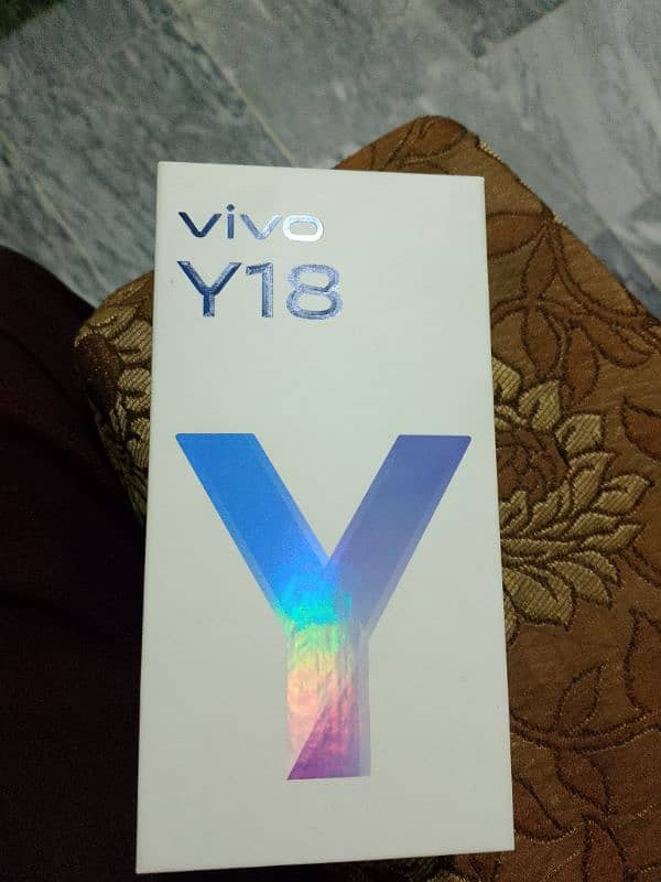 Vivo y 18 1