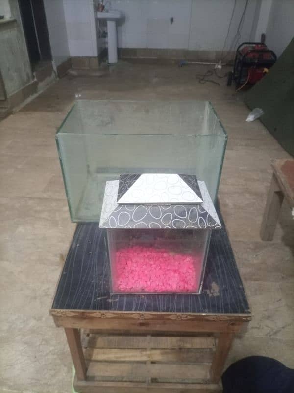 fish aquarium 1