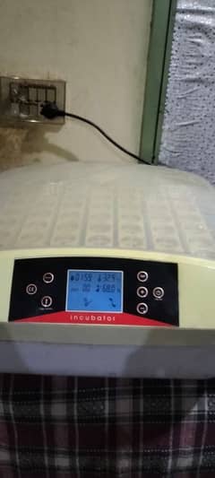 automatic incubator  03248412281