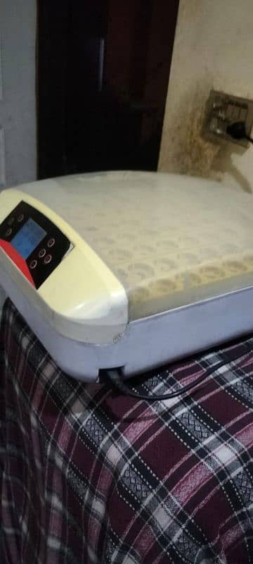 automatic incubator  03248412281 2