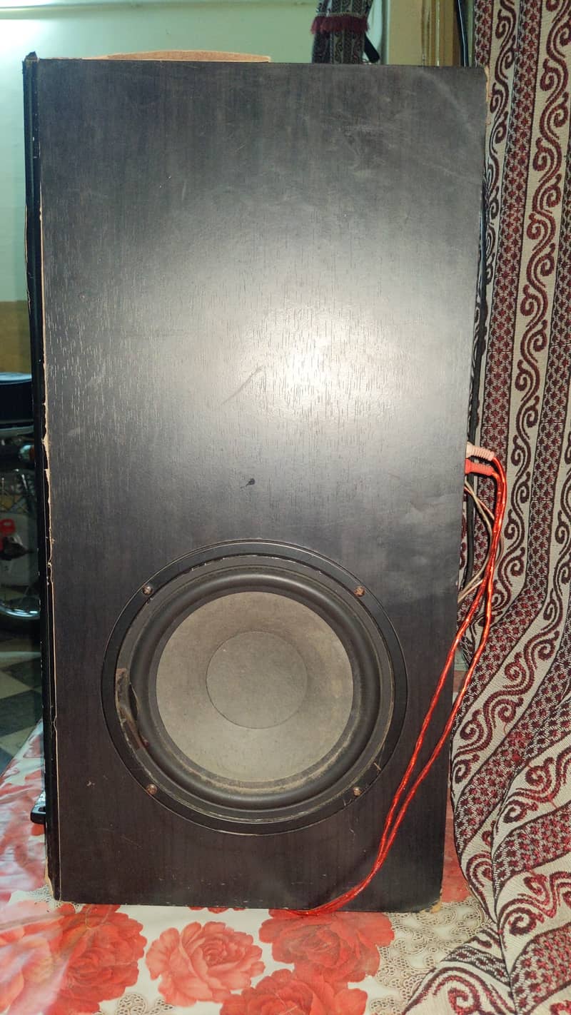 Audionic Speakers 2