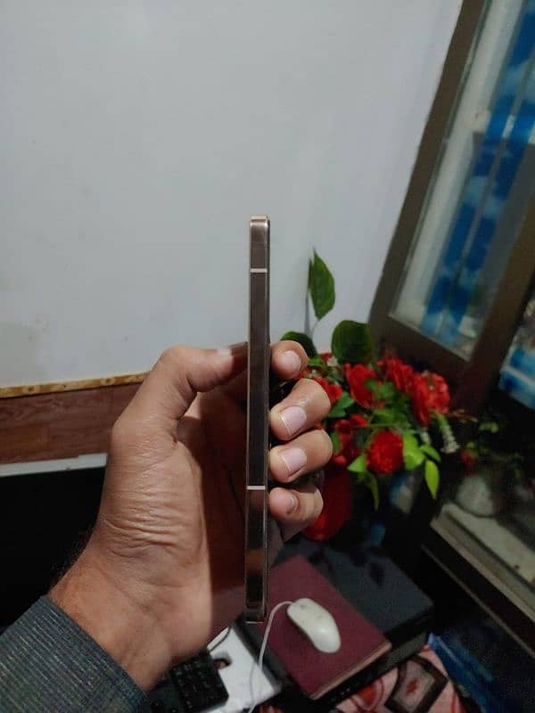 vivo v 23 5G . with box charge janvan 2