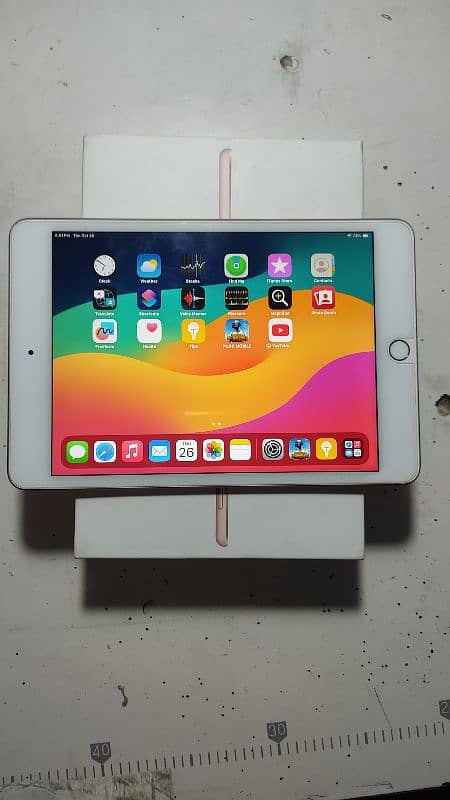 ipad mini 5/ final 50k 2