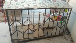 Birds and Hen Cage پنجرا