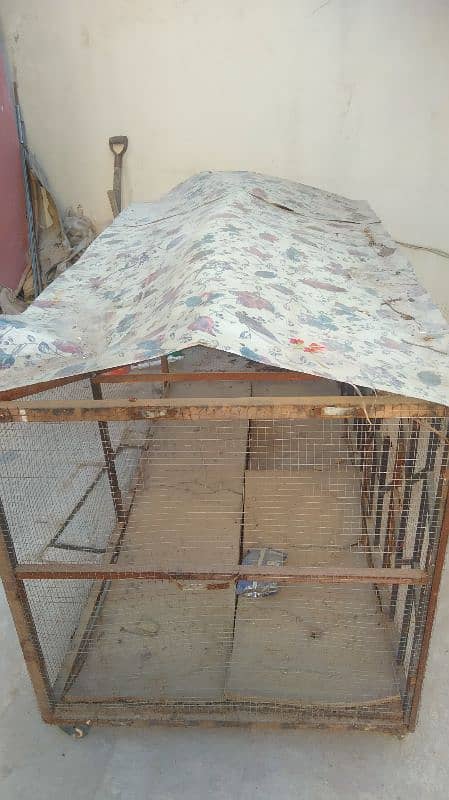 Birds and Hen Cage پنجرا 2