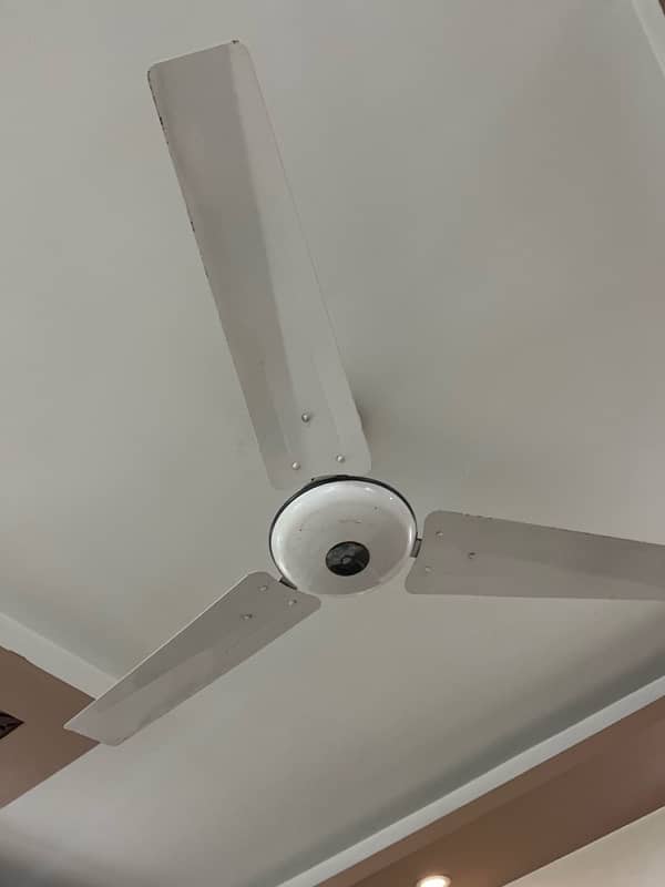 GFC ceiling fans in good condition 4