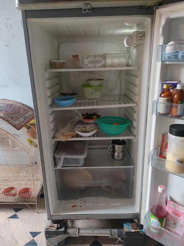 Haier Refrigerator/ Fridge Available For Sale 6