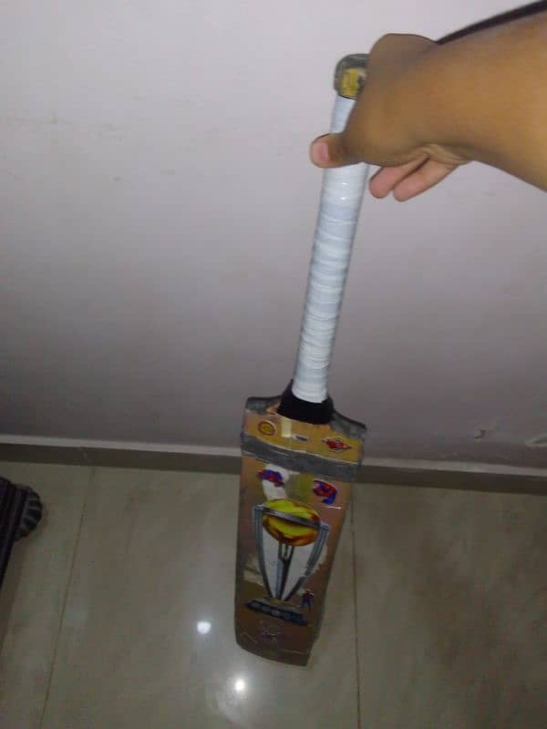 WORLD CUP CRICKET BAT 2