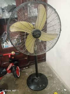 Fan