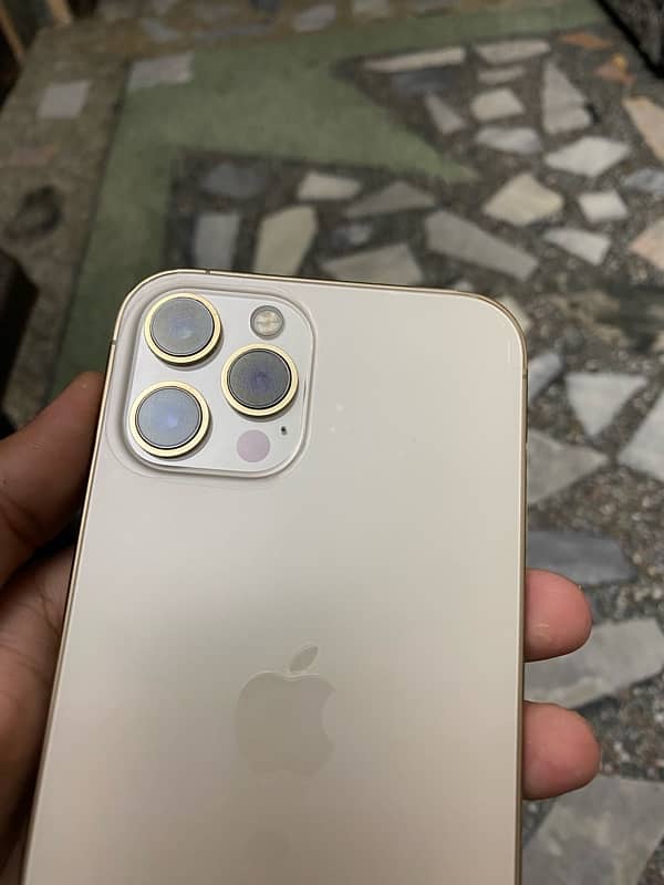 iphone 12 pro max pta approved golden 1