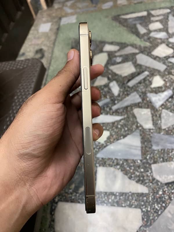 iphone 12 pro max pta approved golden 2