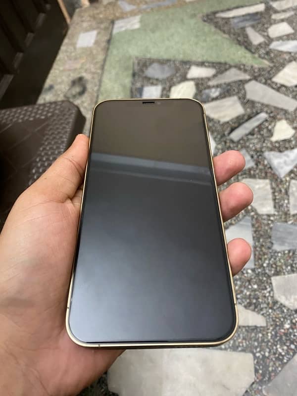 iphone 12 pro max pta approved golden 4