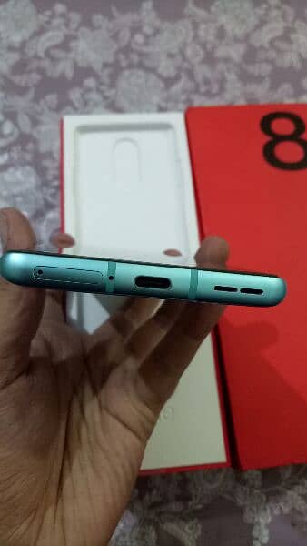 One Plus 8 Official PTA Approved 2