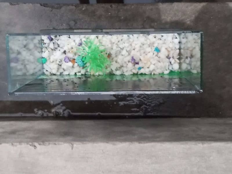 aquarium for sale 3 aquarium 5