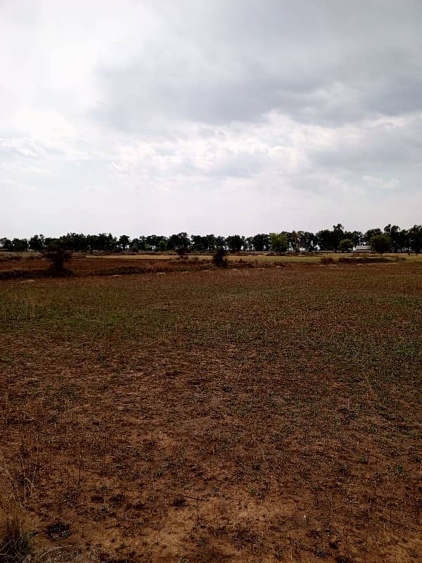 400 Kanal Agriculture Land For Sale In Balkasar Dhabi Dam 4