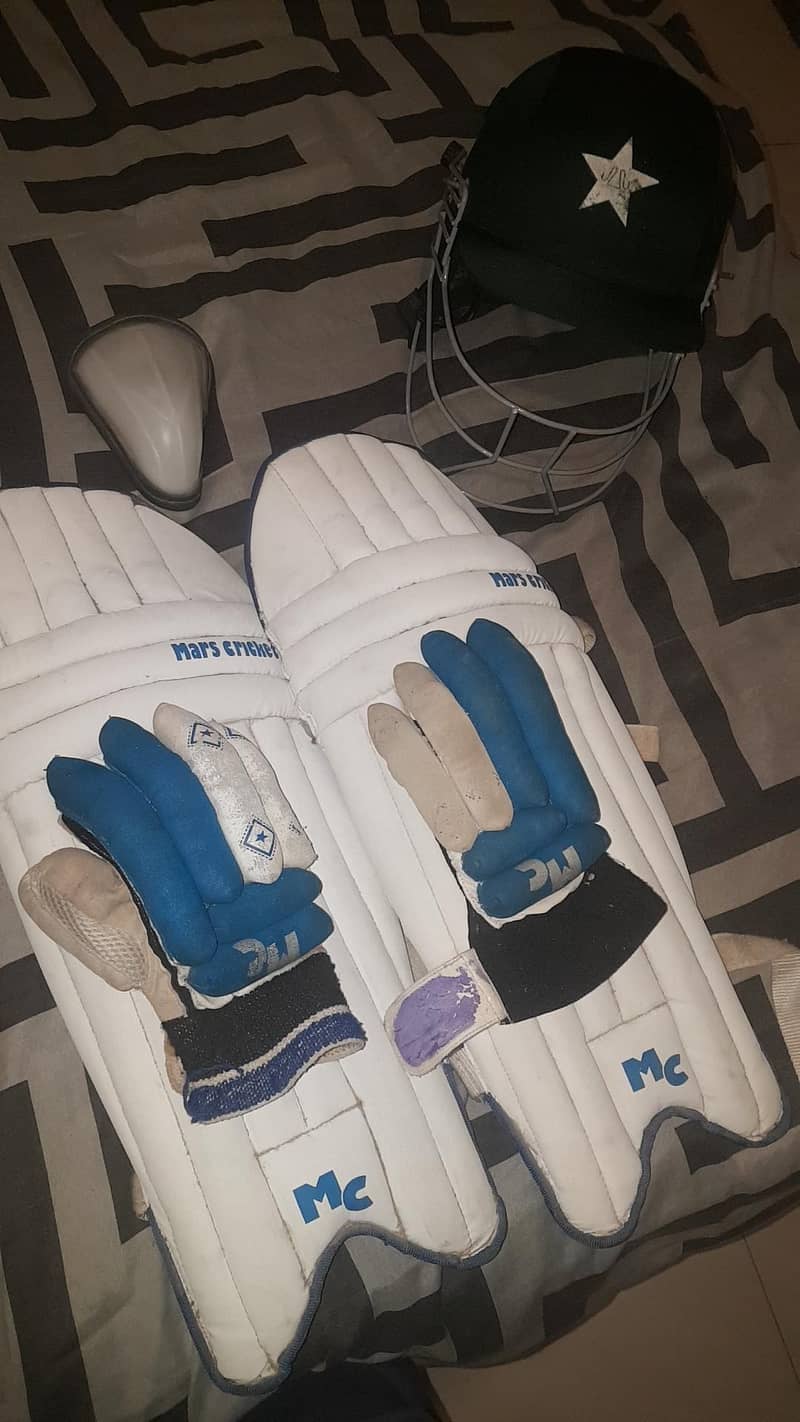 Cricket Kit (urgent sale) 0