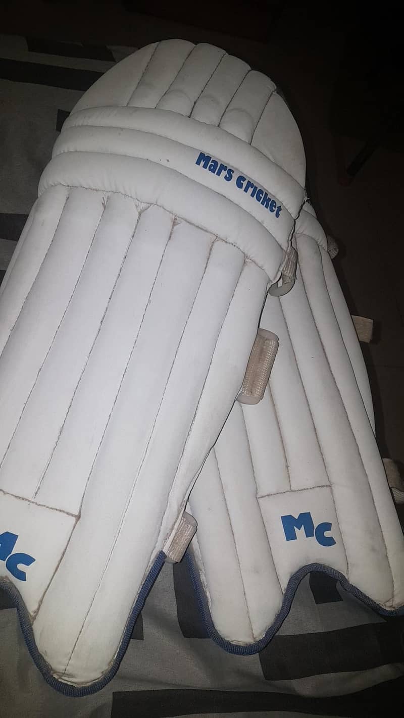 Cricket Kit (urgent sale) 1