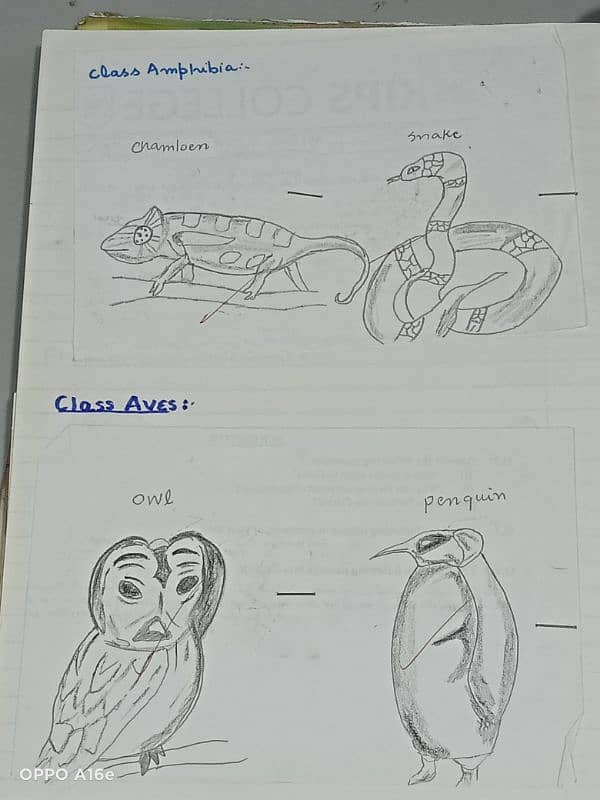 Biology practical notebook FSC part 1 and 2 1