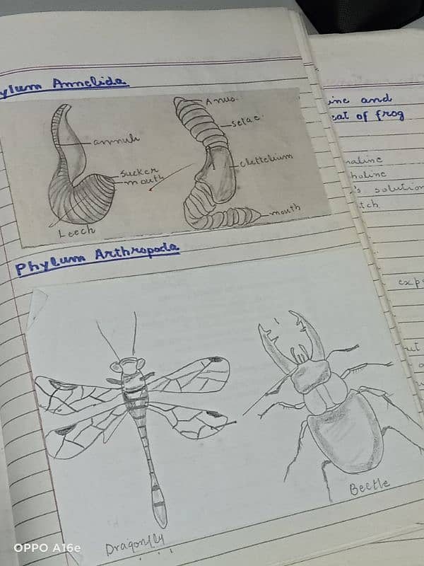 Biology practical notebook FSC part 1 and 2 4