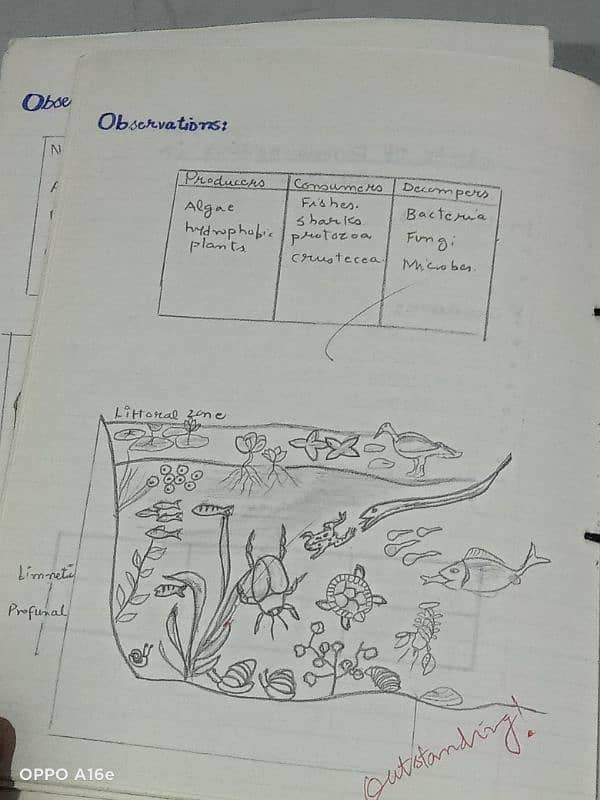 Biology practical notebook FSC part 1 and 2 6