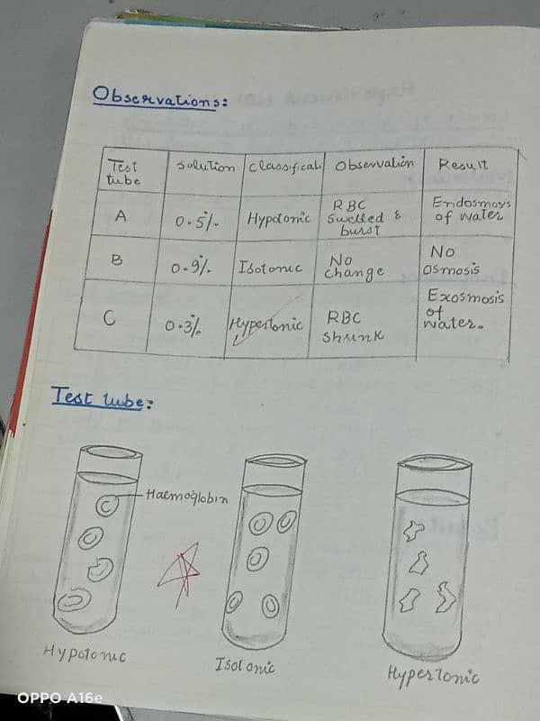 Biology practical notebook FSC part 1 and 2 16