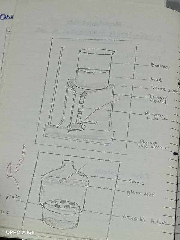 Biology practical notebook FSC part 1 and 2 19