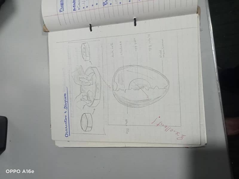 biology practical notebook 8